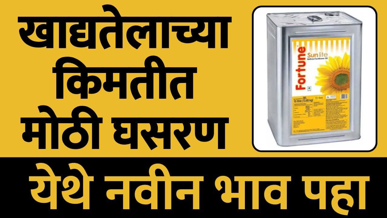 edible oil price falls