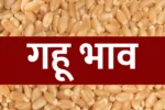 Wheat Rate Today